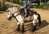 An Equus wearing the saddle