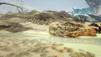 Crystal River (Extinction)