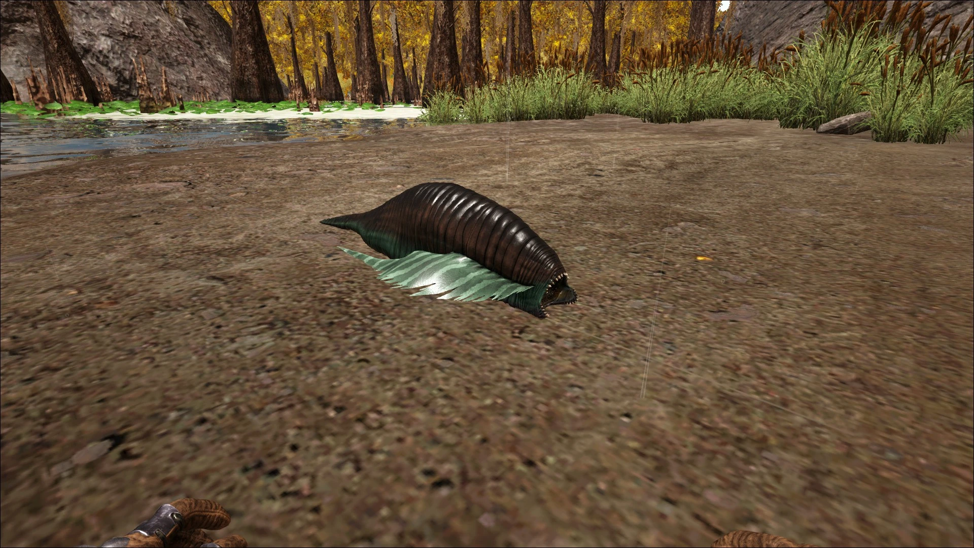 Ark как убрать пиявку