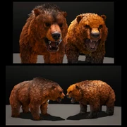 TLC Patch 1 model update.