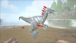 Tek Raptor PaintRegion5.jpg