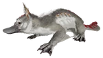 Maewing PaintRegion2