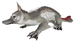 Maewing Official Ark Survival Evolved Wiki