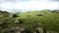 Upper Highlands (Ragnarok)