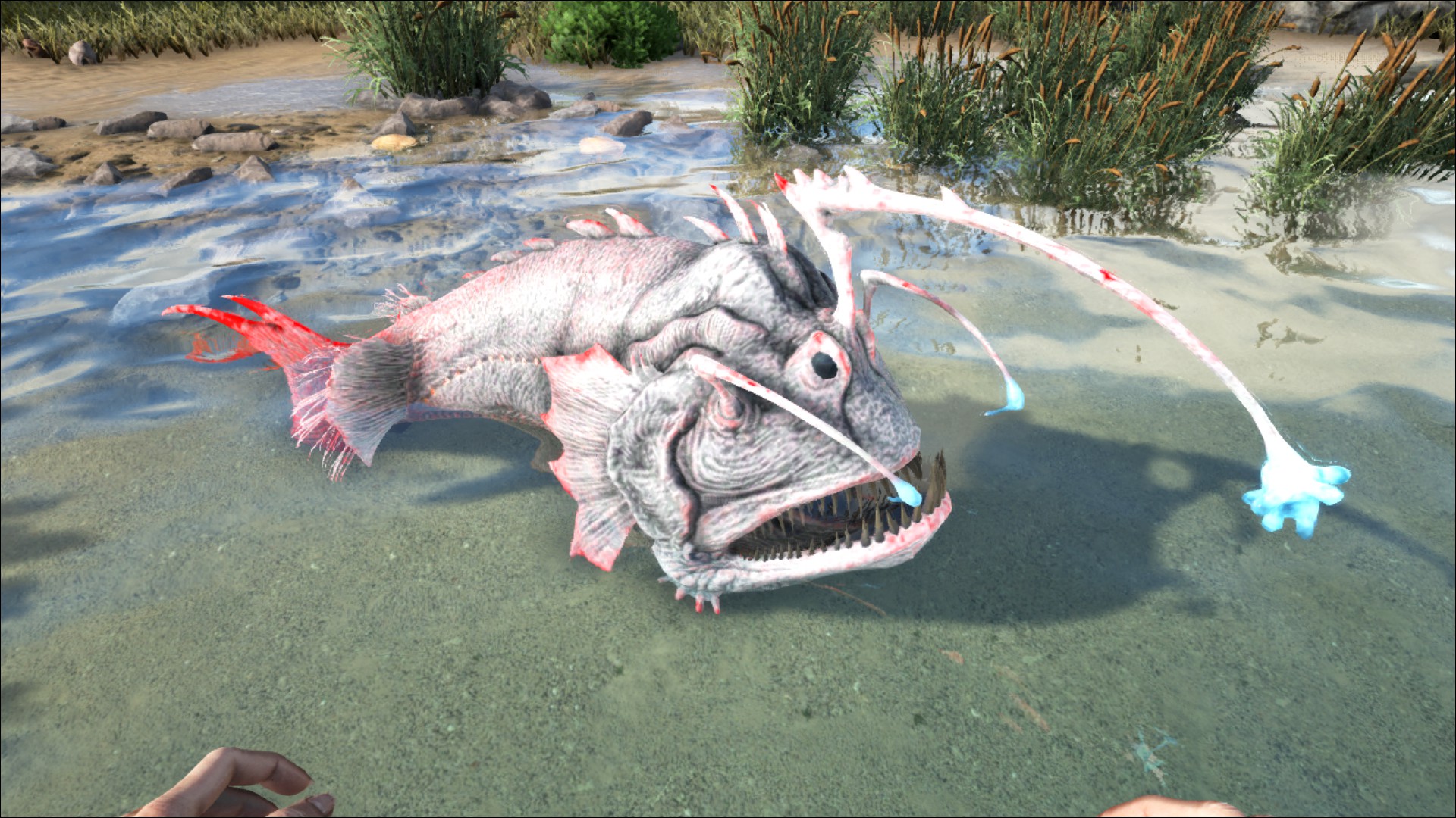 Angler Utility Tips  ARK: Survival Evolved