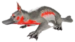 Maewing PaintRegion4