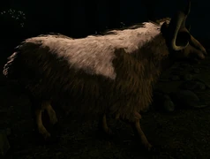 Aberrant Ovis have a large glowing dorsal stripe.