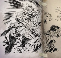 Mei-Yin (left) and Helena (right) about to do the Mei I help you maneuver on a titan.