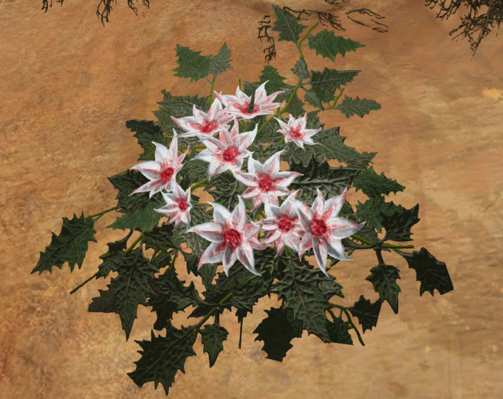 Ark Rare Flower Scorched Earth Best Flower Site