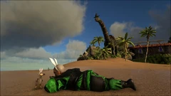 Joueur portant des Oreilles de lapin en compagnie d'un Dodo Lapin