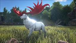Megaloceros PaintRegion2