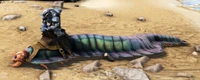 An Arthropluera wearing the saddle