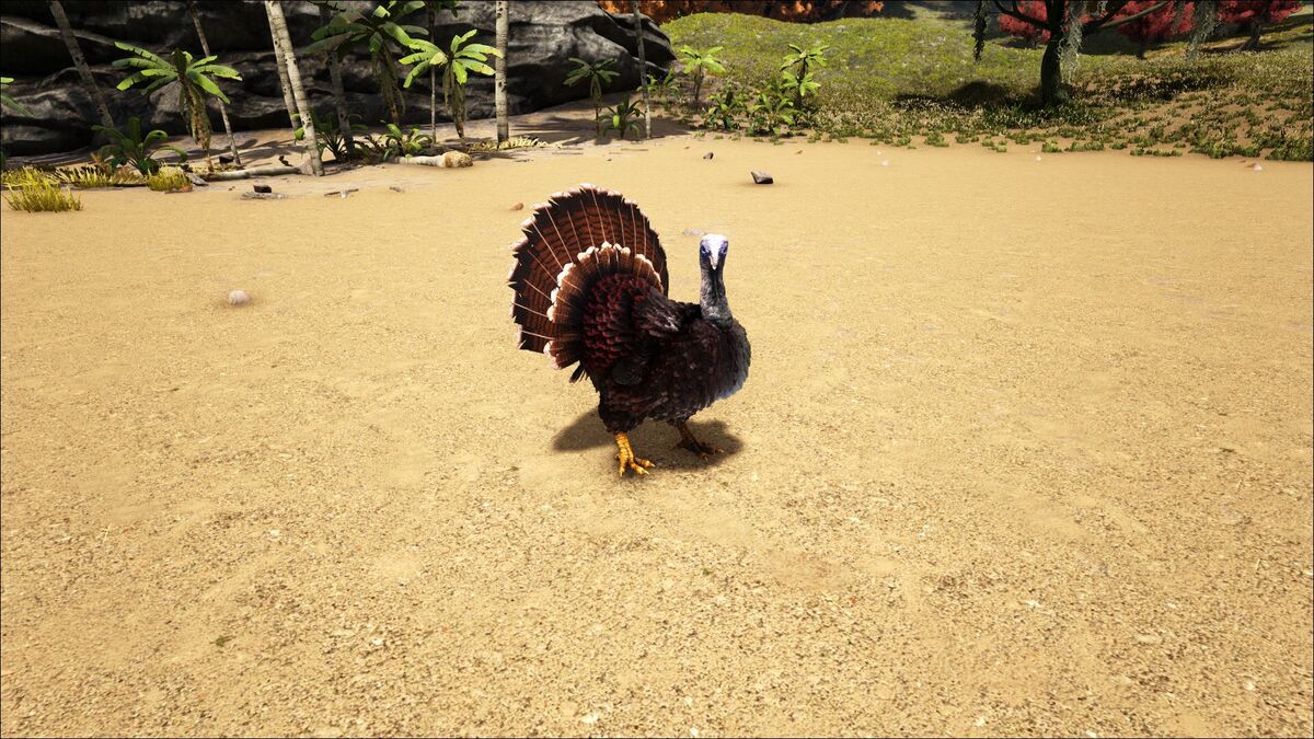 Super Turkey 公式ark Survival Evolvedウィキ