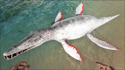 Liopleurodon PaintRegion4.jpg