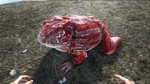 Beelzebufo PaintRegion0