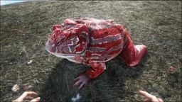 Beelzebufo PaintRegion0