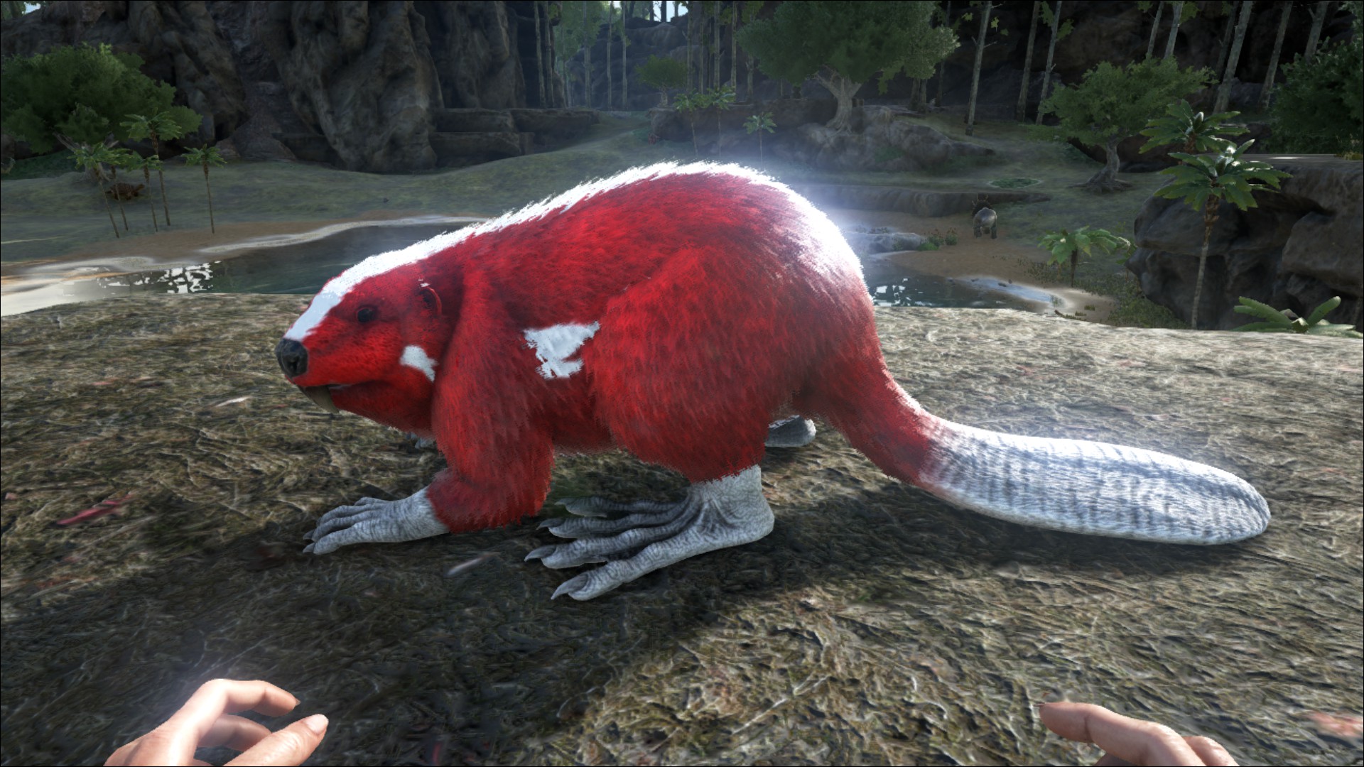 Castoroides Official ARK: Survival Evolved Wiki. ark.gamepedia.com. 