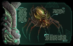 Оригинальное досье