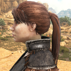 Hairstyles Official Ark Survival Evolved Wiki