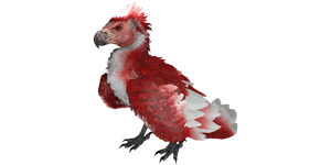 Argentavis PaintRegion0.png