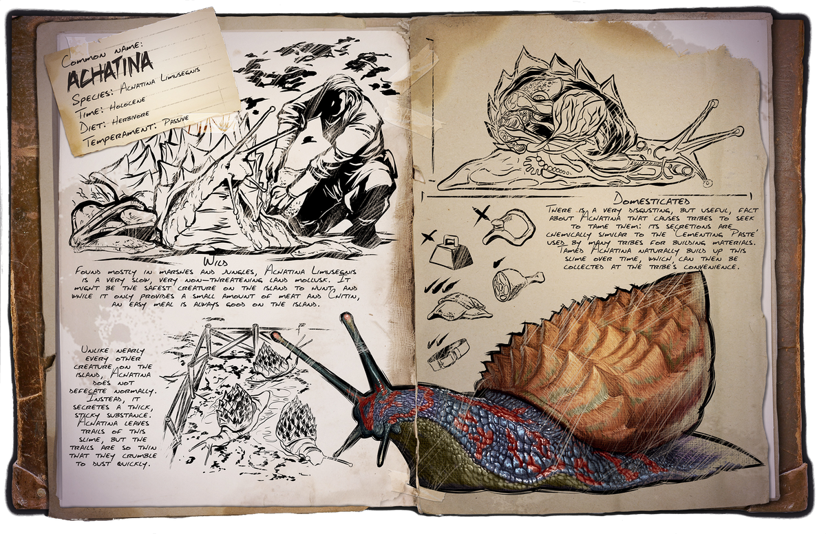 Dossiers Zh Ark Survival Evolved Wiki