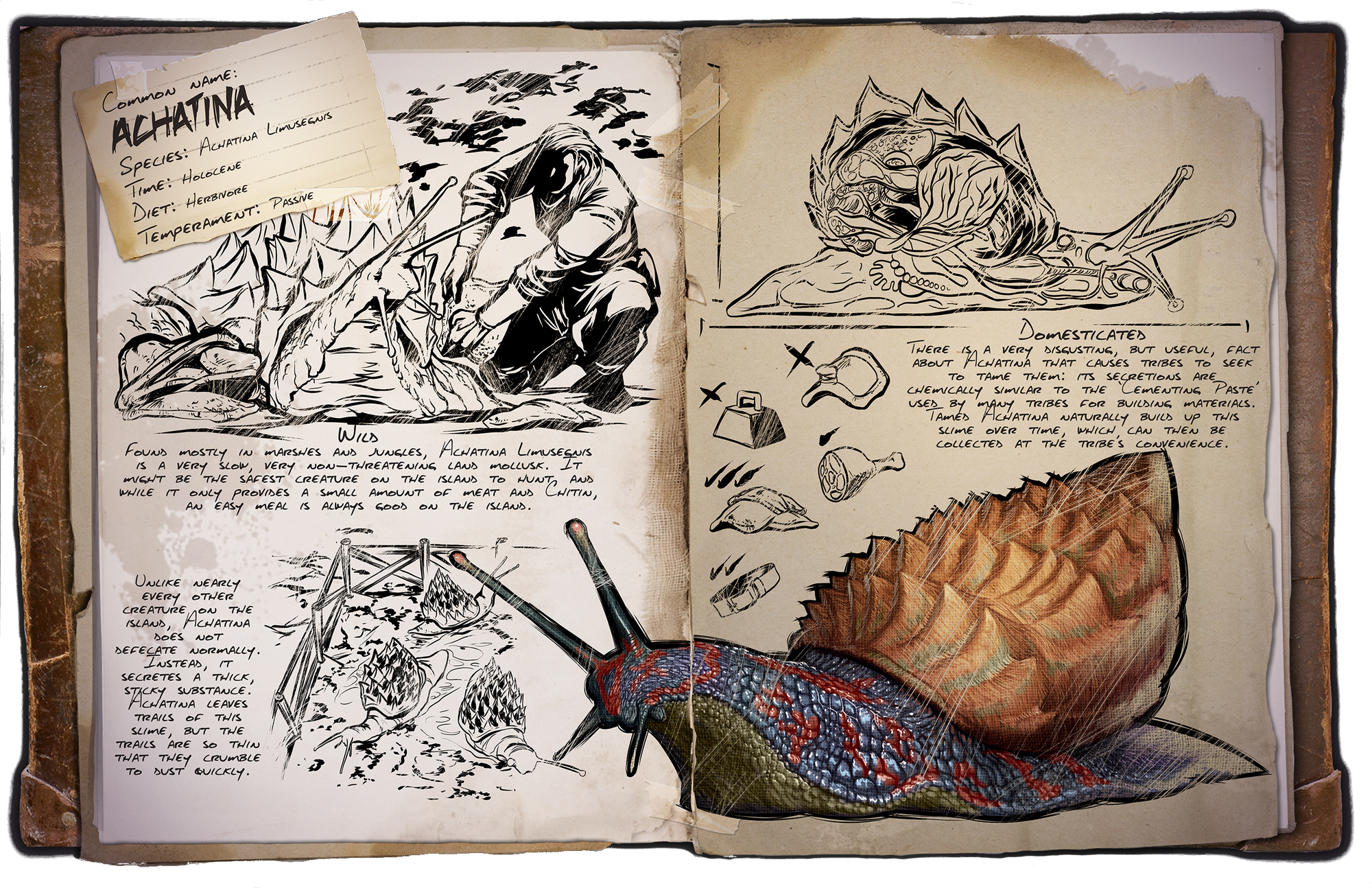Achatina Official Ark Survival Evolved Wiki