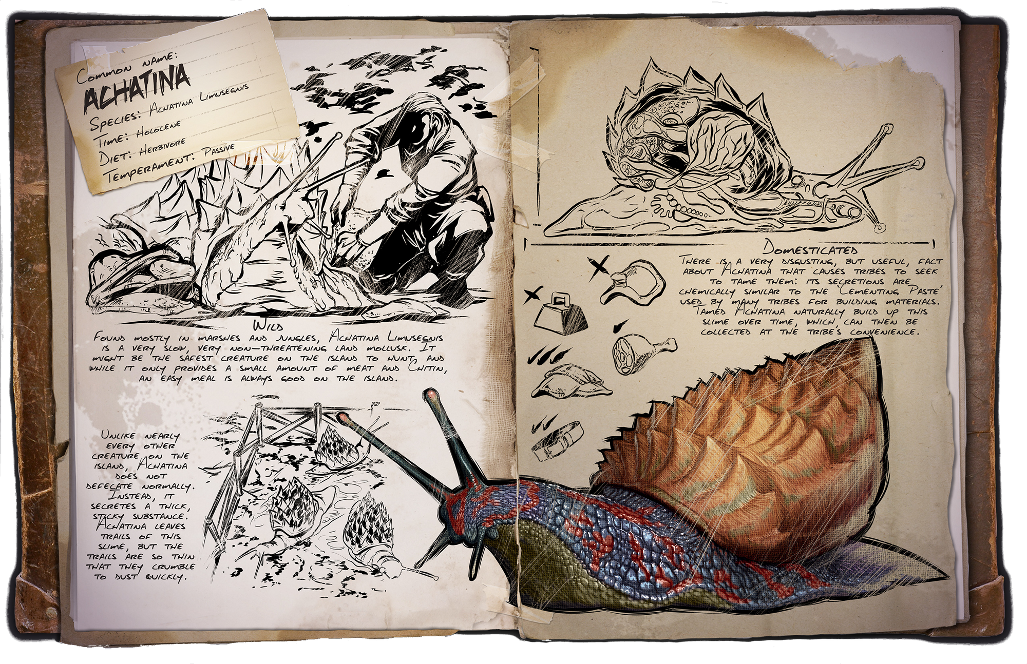 Dossiers Zh Official Ark Survival Evolved Wiki