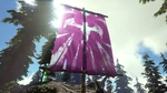Dragon Flag PaintRegion1