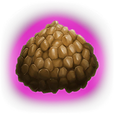 Kibble (Tapejara Egg)