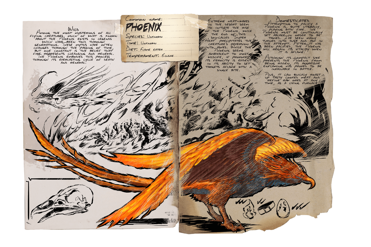Phoenix Official Ark Survival Evolved Wiki