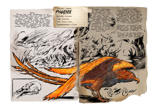 Phoenix Official Ark Survival Evolved Wiki