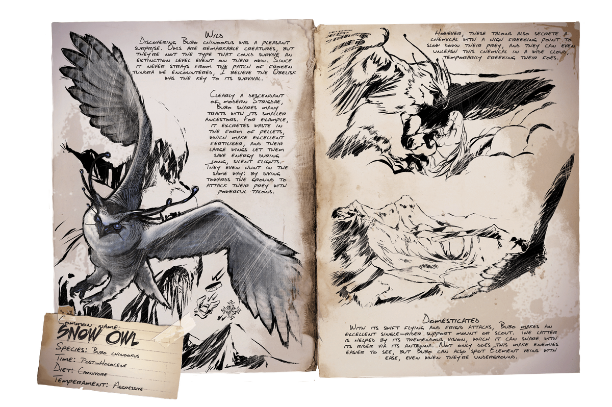 Snow Owl Official Ark Survival Evolved Wiki