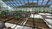 Greenhouse1