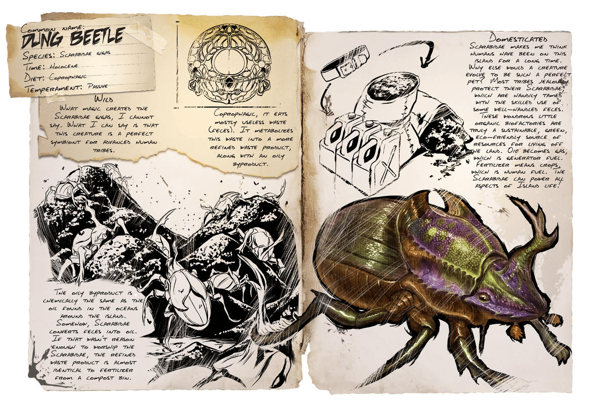 Dung Beetle Official Ark Survival Evolved Wiki