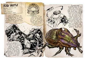 Dung Beetle  ARK: Survival Evolved Wiki