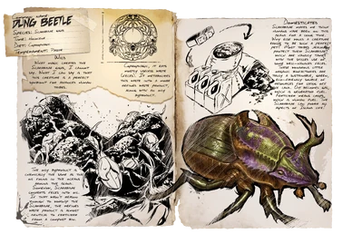 Dossier Dung Beetle