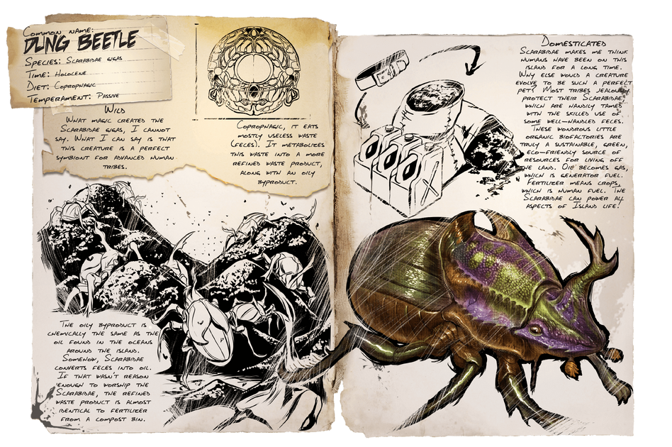 Dung Beetle - ARK: Survival Evolved Wiki