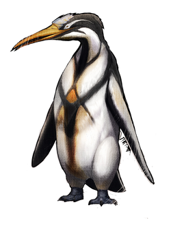 カイルクペンギン 公式ark Survival Evolvedウィキ