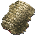 サルコスクスの皮 公式ark Survival Evolvedウィキ サルコスクスの皮 公式ark Survival Evolvedウィキ