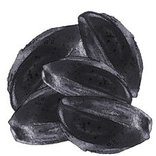 Aconitum Seeds (Mobile).png