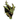 Forest Titan Trophy (Extinction).png