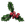Mistletoe.png