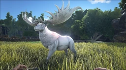 Megaloceros PaintRegion4