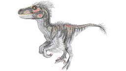 X-Raptor PaintRegion4.jpg