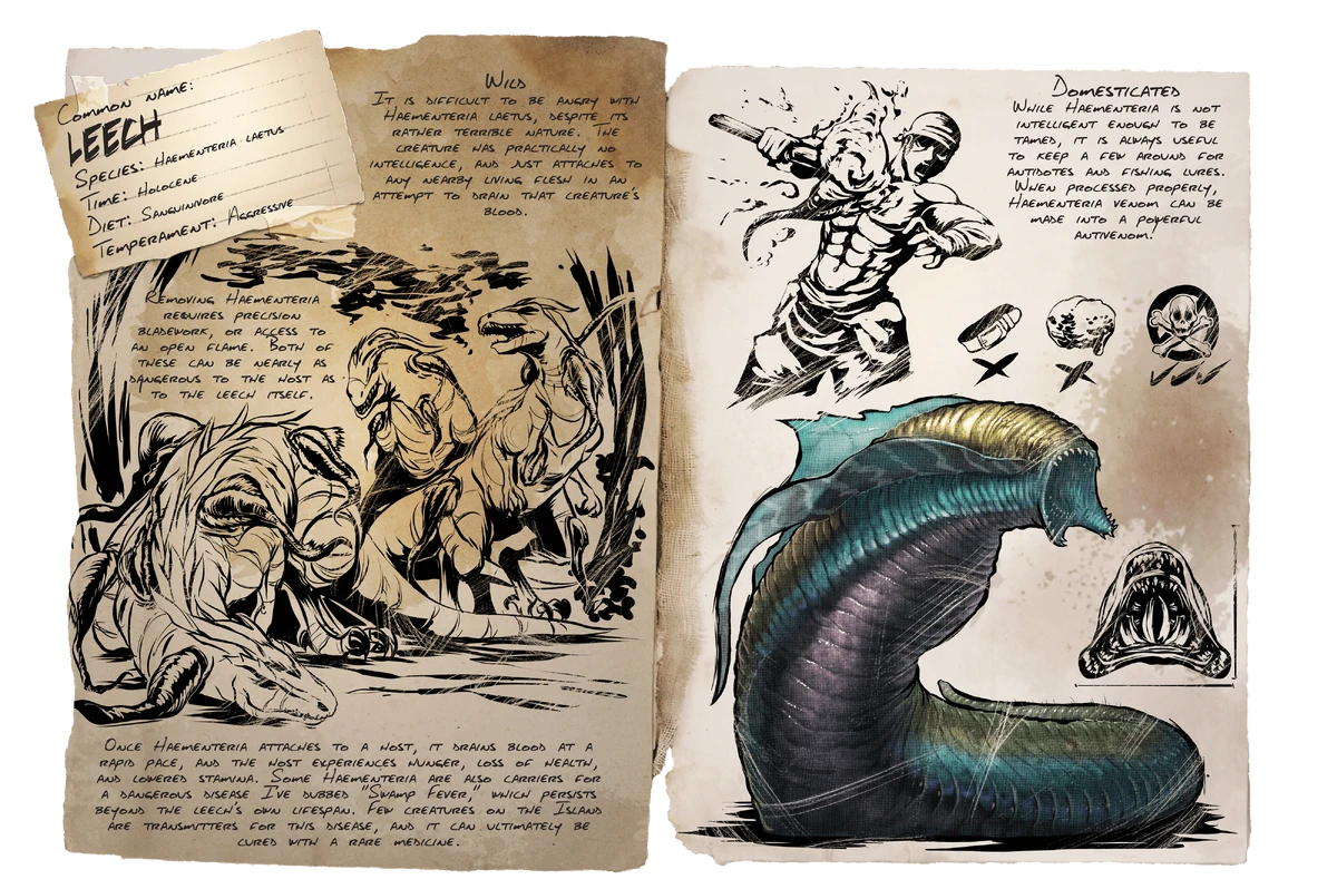 Leech Official ARK Survival Evolved Wiki