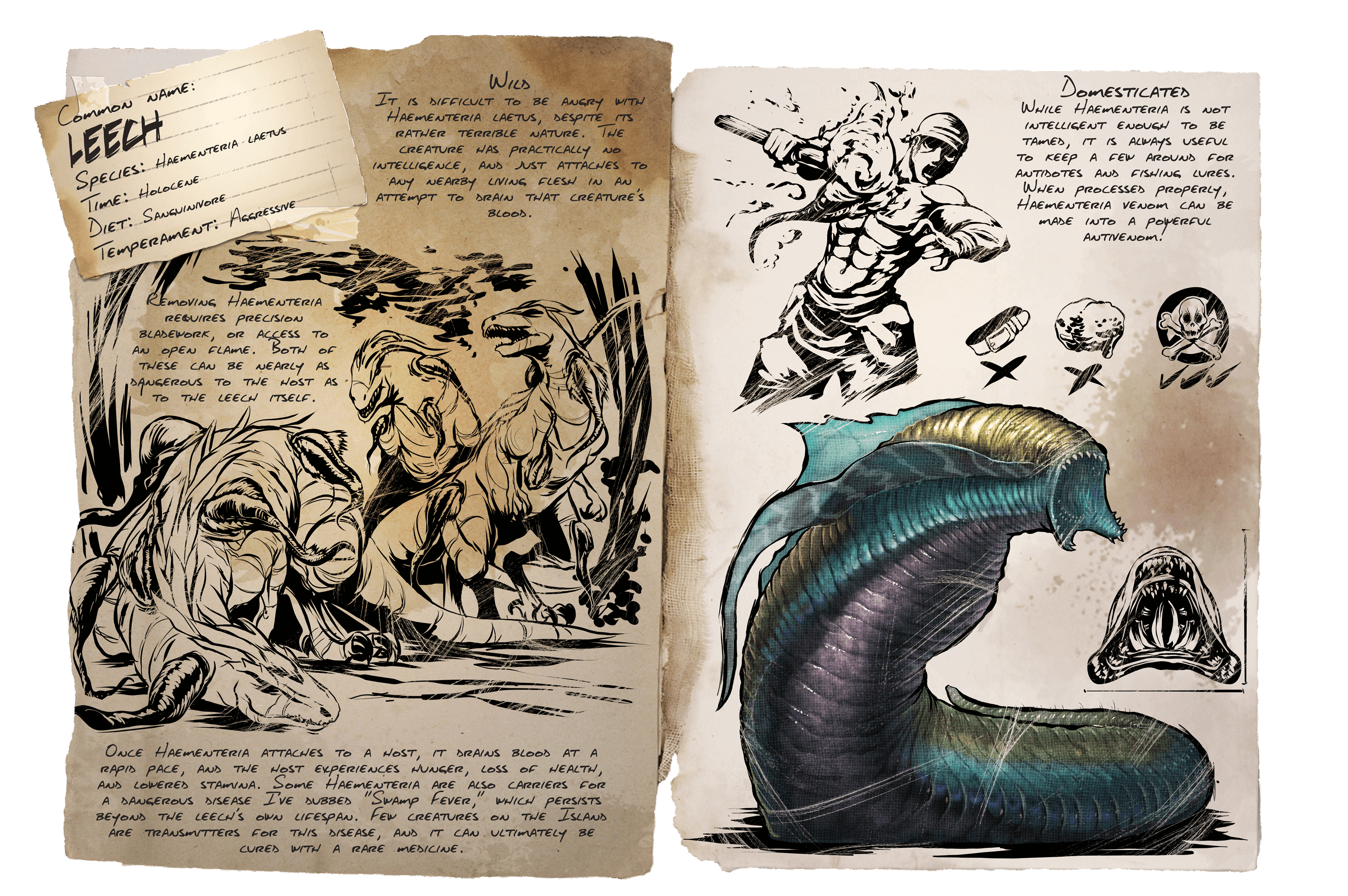 Leech Official Ark Survival Evolved Wiki