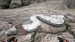 Titanoboa PaintRegion5