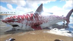 Megalodon - ARK: Survival Evolved Wiki