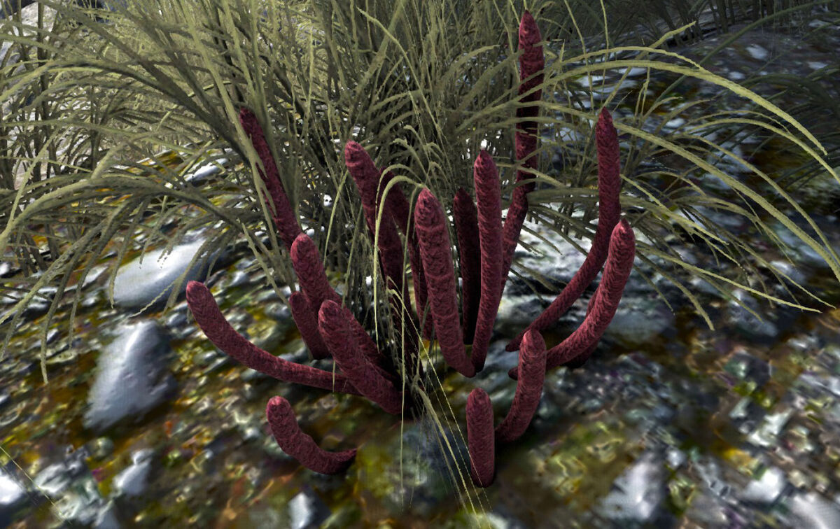 Rare Flower ARK Survival Evolved Wiki