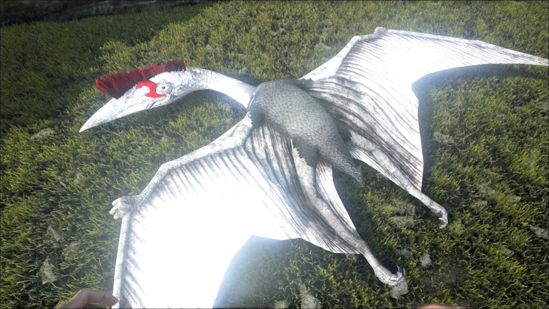 ケツァルコアトルス - ARK: Survival Evolvedウィキ